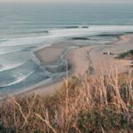 Malibu-homepage