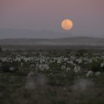 35958_415968112510_680457510_5413188_8066193_n