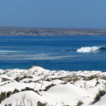 38253_410932077510_680457510_5263858_7784337_n