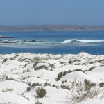 38253_410932092510_680457510_5263861_1910587_n