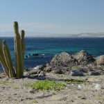 40335_415965632510_680457510_5413139_6685444_n