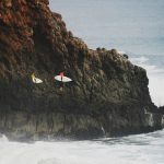 41195_425574297191_76875632191_4754282_3093913_n