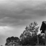 Captura de pantalla 2010-08-03 a las 2.31.37