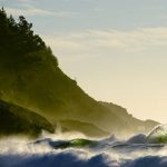 IL10_009366_003138_12bd473f48