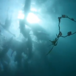 Captura de pantalla 2010-11-15 a las 22.07.44