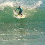 algarr5