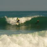algarr6