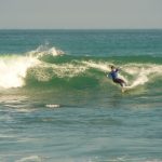 algarr8