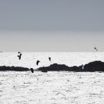 kitesurftour pupuya 16-4-2011_0643