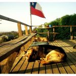 184672_10150165636700864_708055863_8283752_997783_n