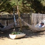 184841_1561298761998_1521195376_31118570_2869679_n