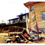 189211_10150174646010864_708055863_8363437_604351_n