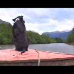 Captura de pantalla 2011-05-11 a las 10.26.39