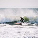 dalewebster2