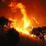 Captura de pantalla 2011-12-06 a las 8.41.52