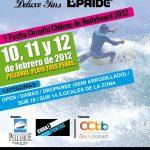 Afiche 2012