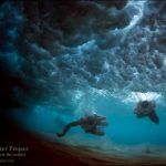 396549_342210525808531_111991018830484_1233752_1561324858_n