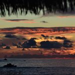 DSC0091