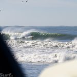 DSC5484