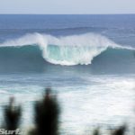 5_DSC6365