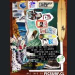 feriadepulgasdeplaya