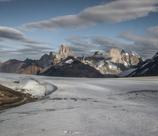 Celebra la naturaleza postulando tu proyecto a estos fondos