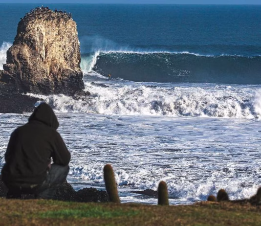 Chile se queda sin Lobos por Siempre 2026